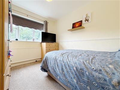 Picture 12